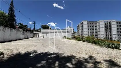  LOTE 