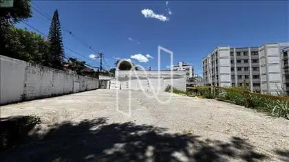  LOTE 