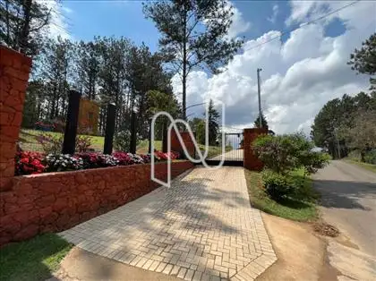 ENTRADA