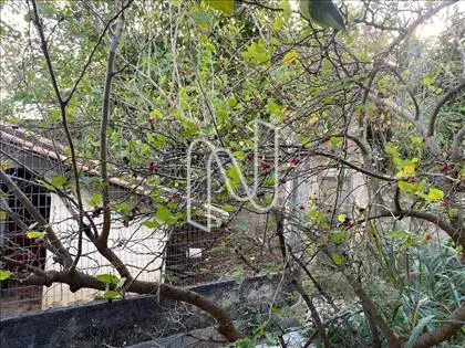 ÁREA EXTERNA  