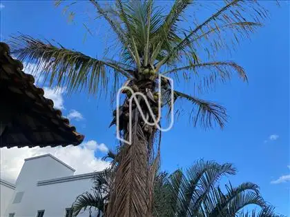 ÁREA EXTERNA  
