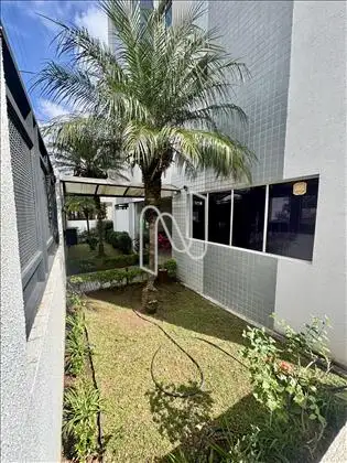 Jardim