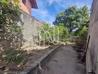 Jardim