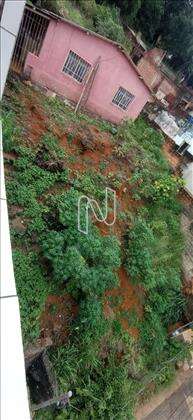  Vista superior do lote