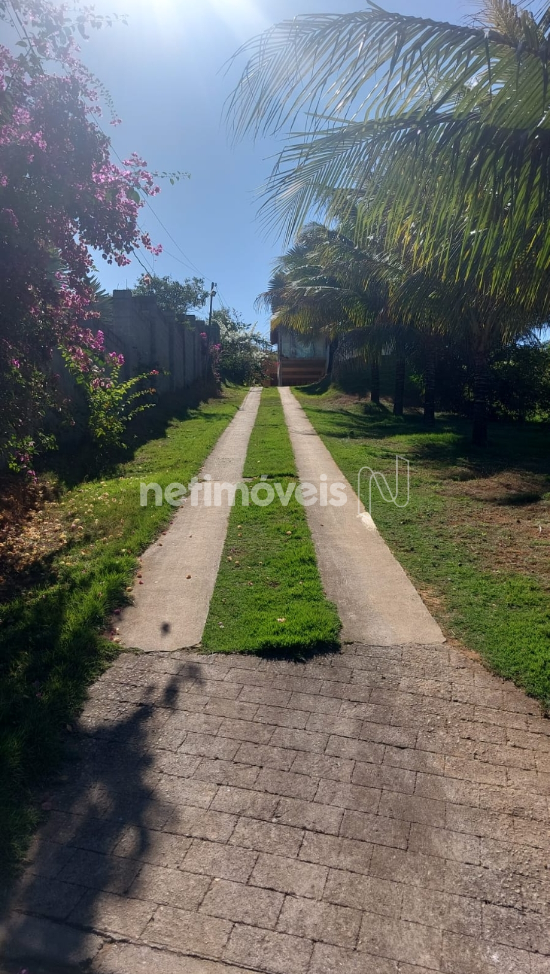 Entrada