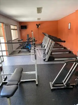 Academia 