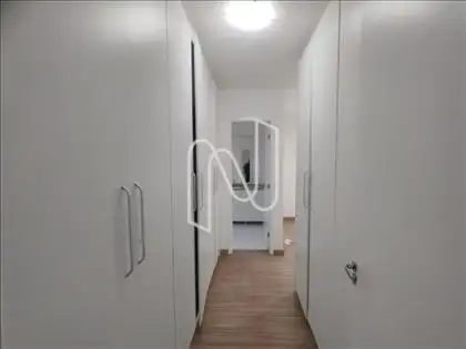 Suíte 