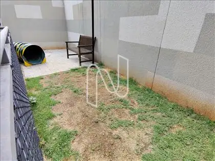 Área Pets 