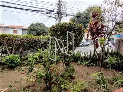 Jardim 