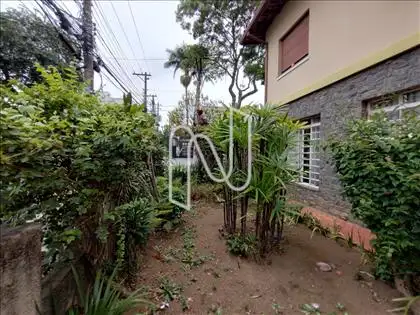 Jardim 