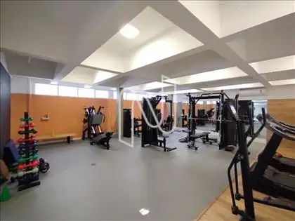 ACADEMIA