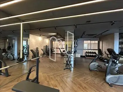 academia  