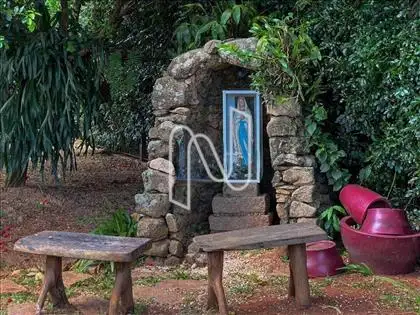 AREA EXTERNA COM JARDIM 