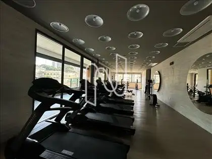 academia 