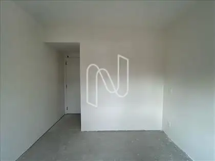  suíte 
