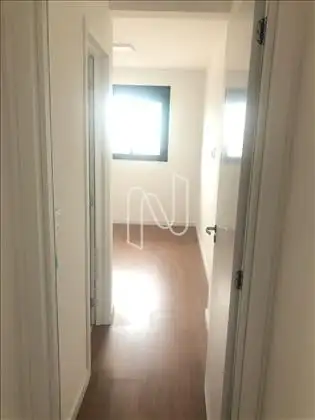 suíte 