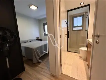SUITE III 