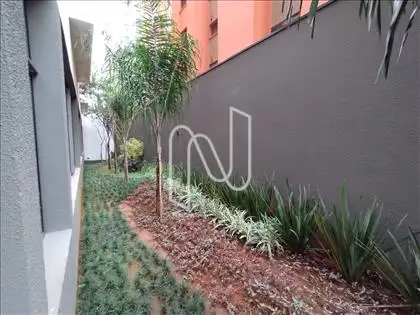 MINI BOSQUE 