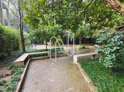 BOSQUE 