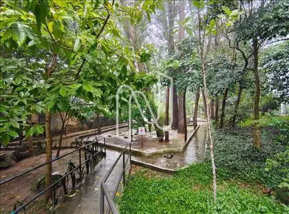 BOSQUE 