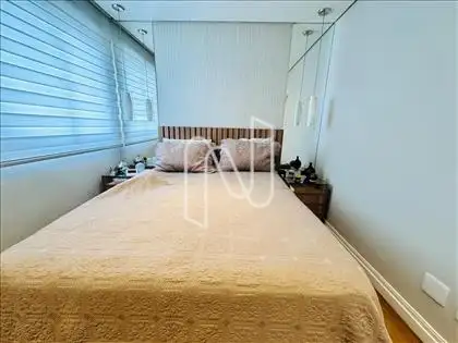 SUITE 