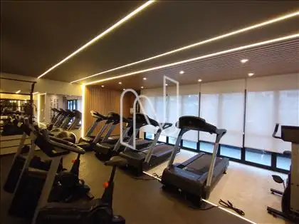 academia 