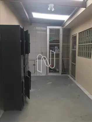 VESTIARIO