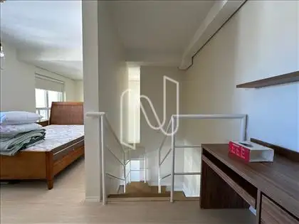 Suite 