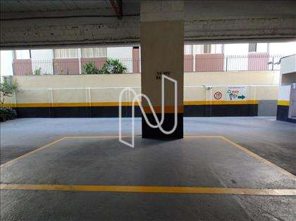 VAGA DEMARCADA 