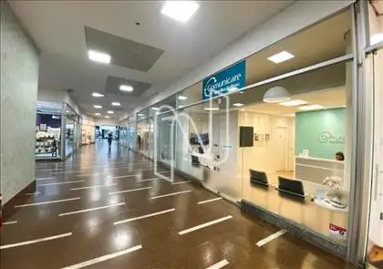  Galeria