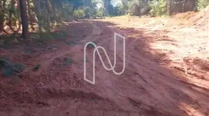 Platô 