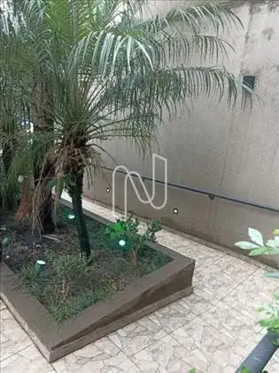 Jardim 