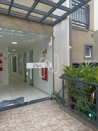 Entrada 