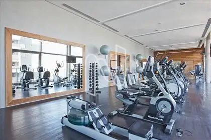 Academia / Fitness  