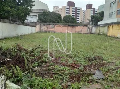 Terreno  