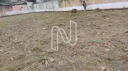 Terreno  