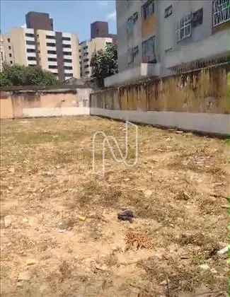 Terreno  