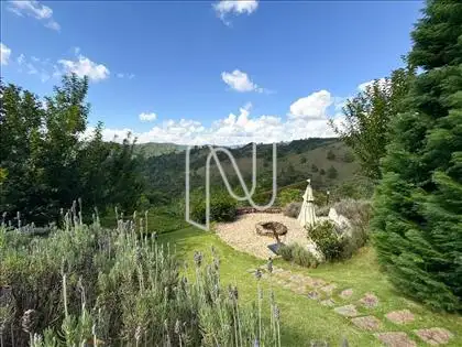 Vista 