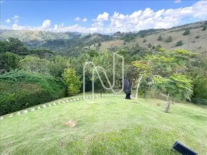 Vista