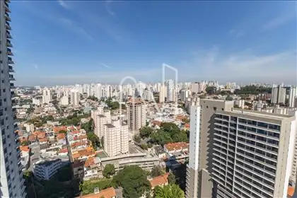 Vista 