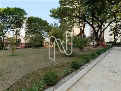 Playground 