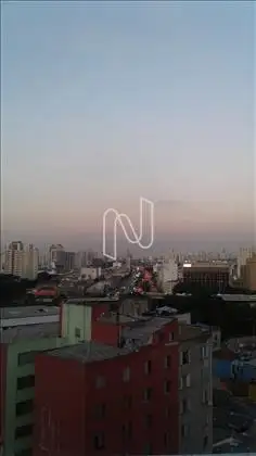 Vista 