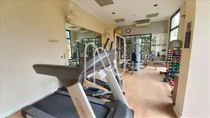 Academia 