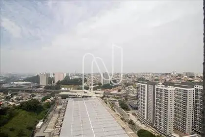  Vista