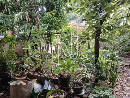  Área externa 