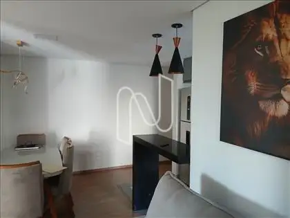 Copa /cozinha 