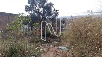  Foto de dentro lote