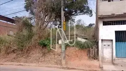  Foto de frente