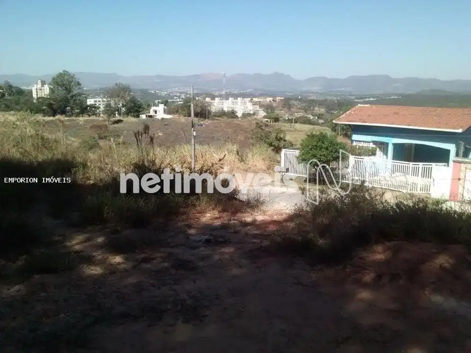  Lote