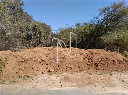 Lote 